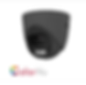 Hikvision camera grey