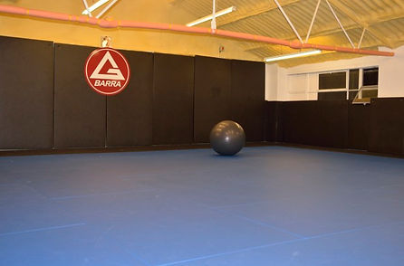 One of the training mats