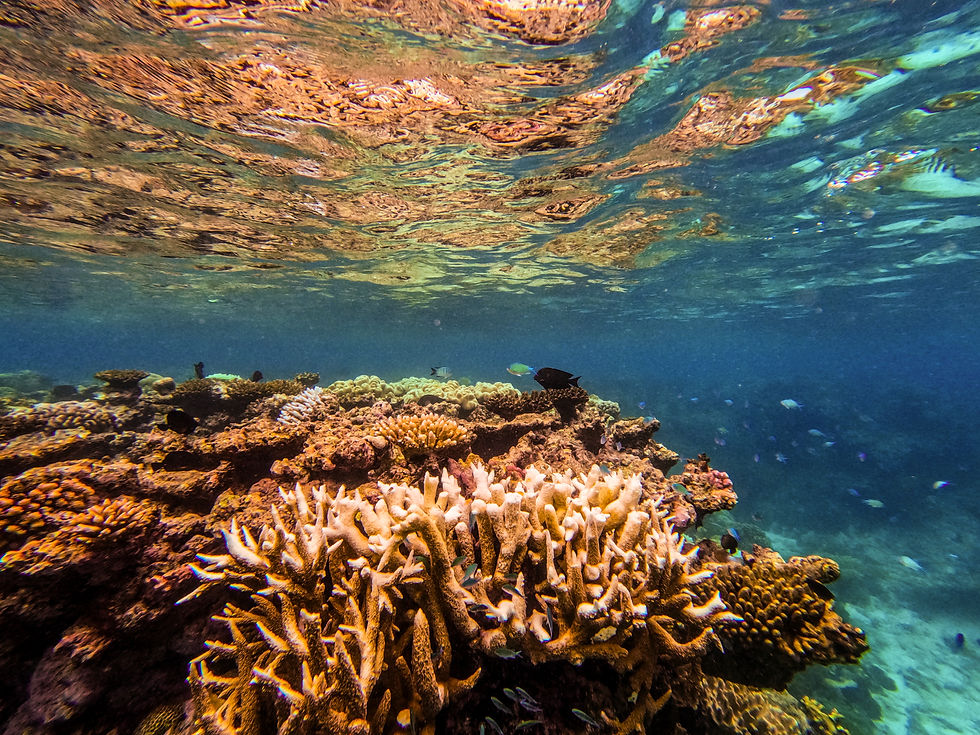 Amazing to see in person...