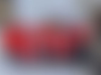 Schweizer Skicross Team besucht den Olympia Bobrun