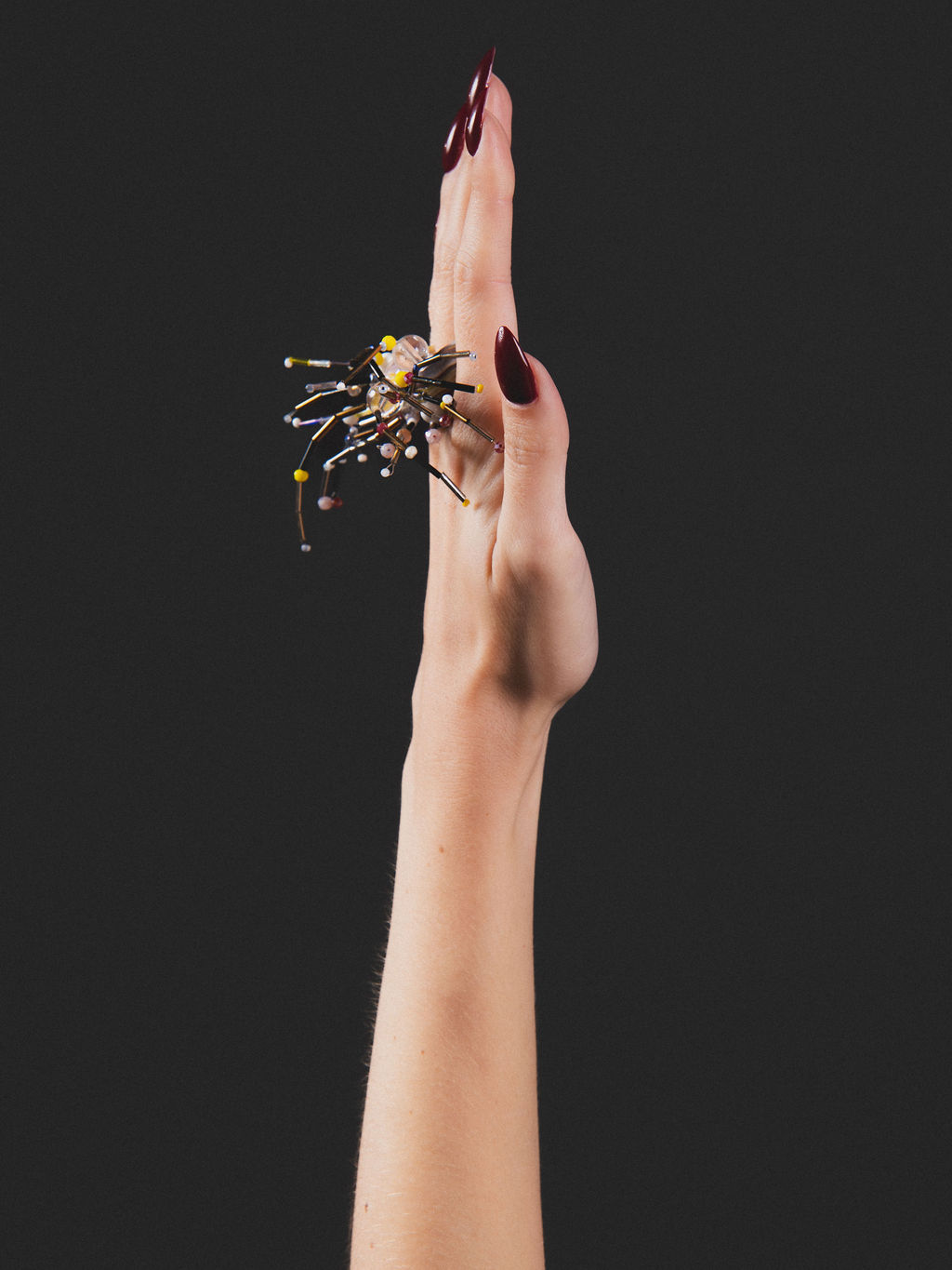 Chimera Ring