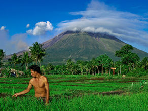 Volcanic Agriculture- Why risk it?