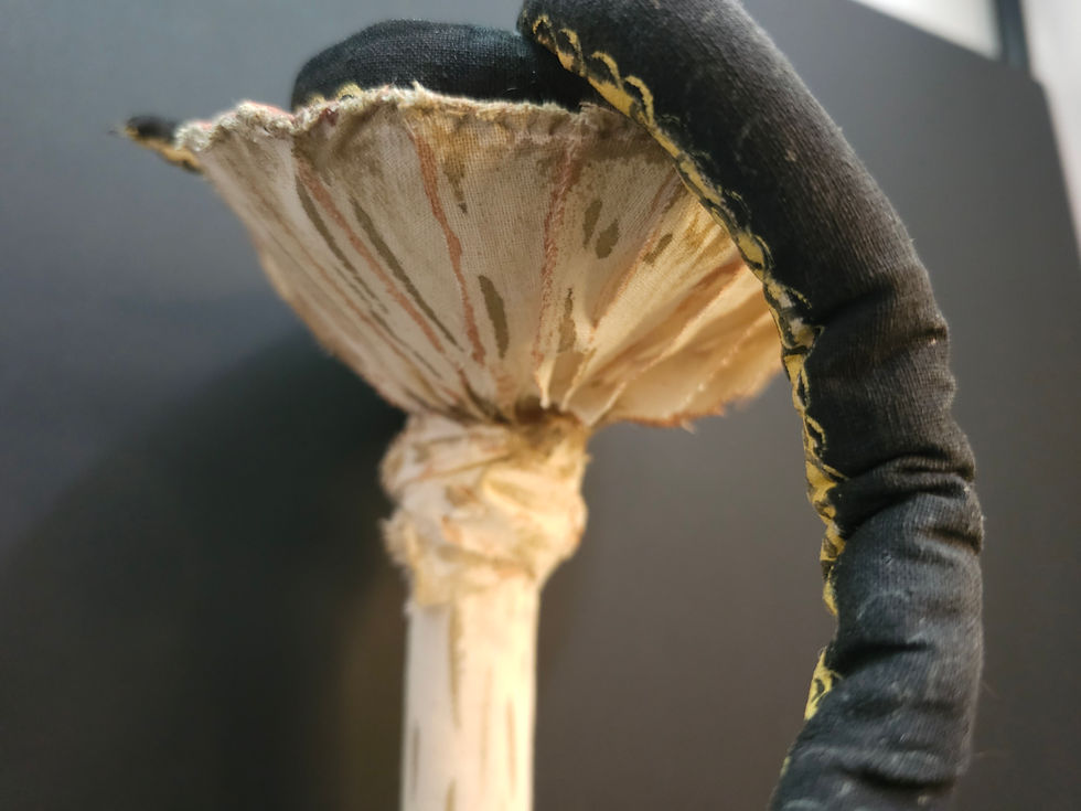 Thumbnail: Snake on Mushroom