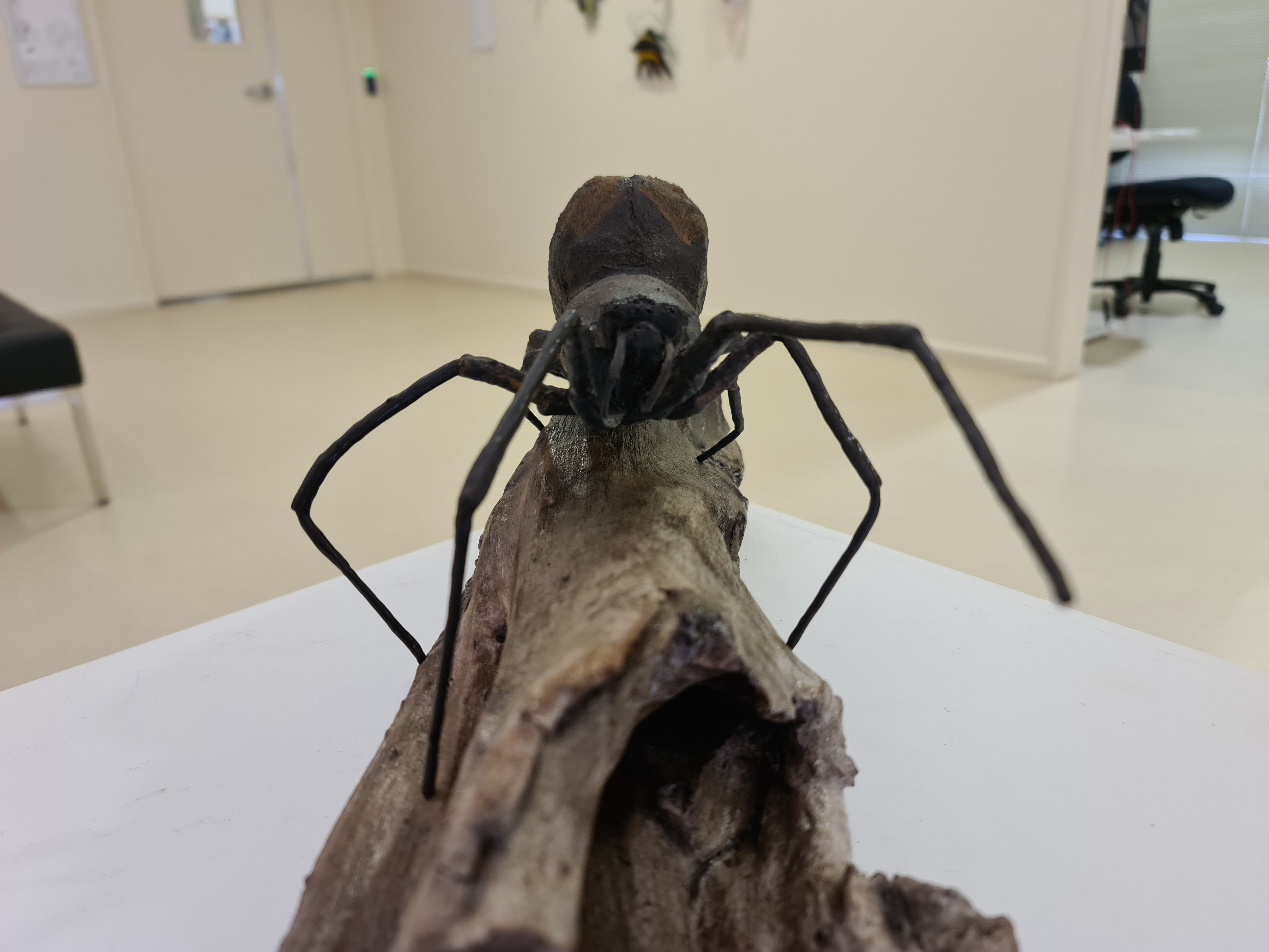 Ostracised / 2023 / Mixed Media / 47x18x17