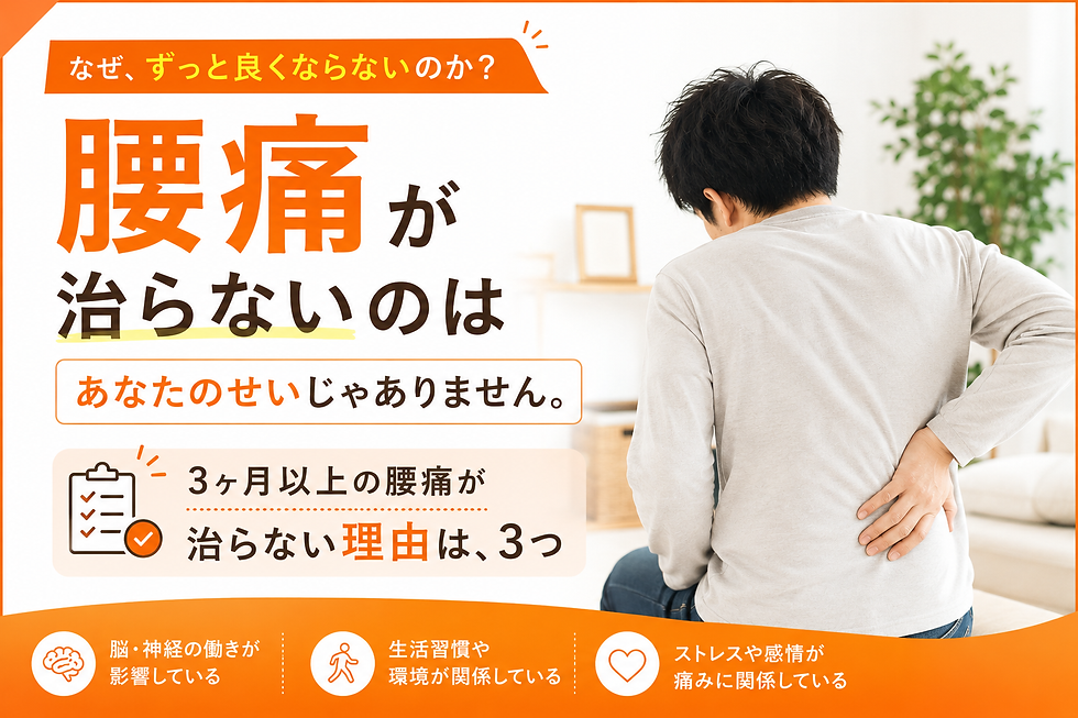 腰痛が治らないのはあなたのせいじゃないのカバー画像