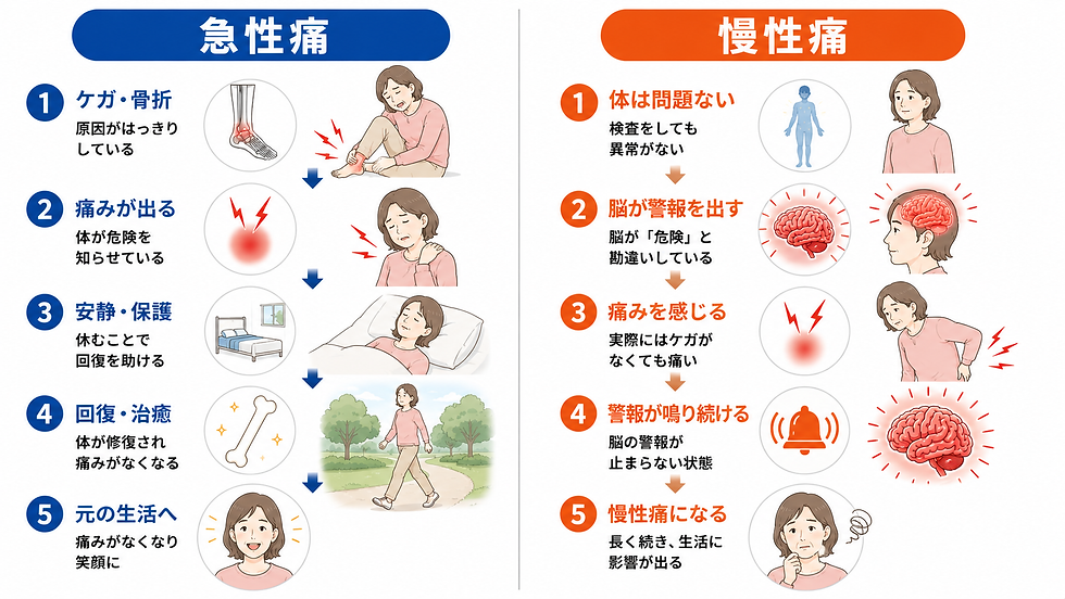 急性痛と慢性痛の違いを左右で比較する図。女性の痛み、脳や骨、警告音のアイコン、回復や不安の様子を説明している。
