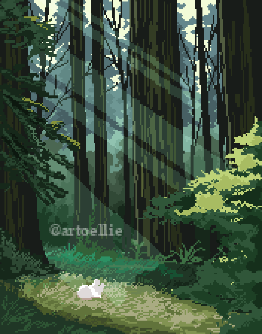 Bunny in the woods