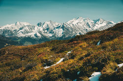 © morshaeuserphotography.com