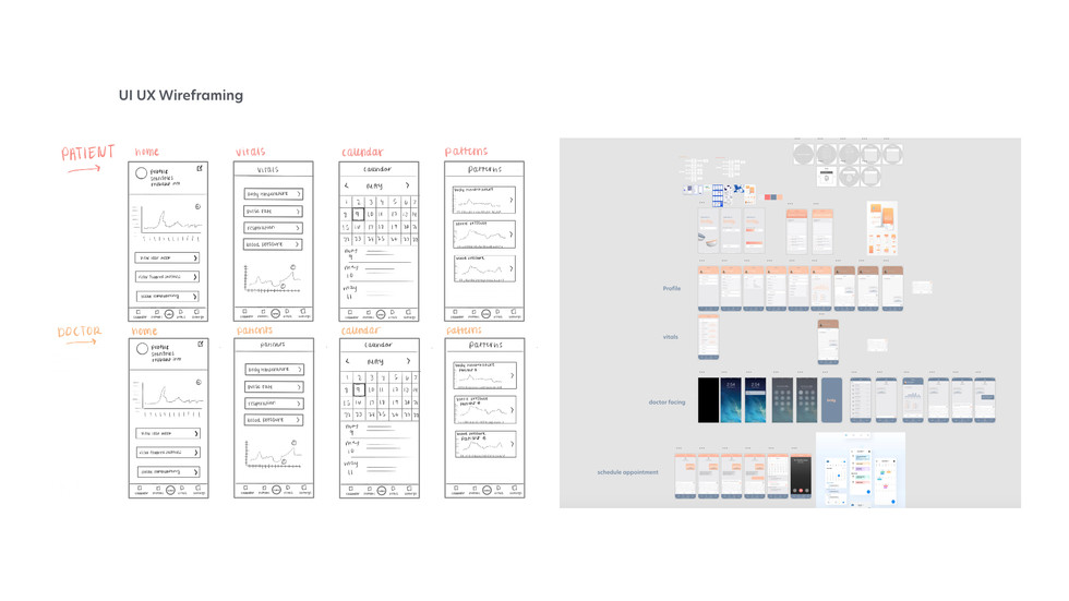 Lang_Sydney_Module 03_FinalPresentation_