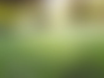 How Weather Affects Your Septic System and Pumping Schedule