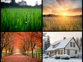 How Weather Affects Your Septic System and Pumping Schedule