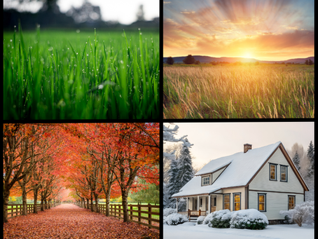 How Weather Affects Your Septic System and Pumping Schedule