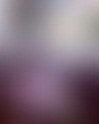 Lancement officiel de la résidence