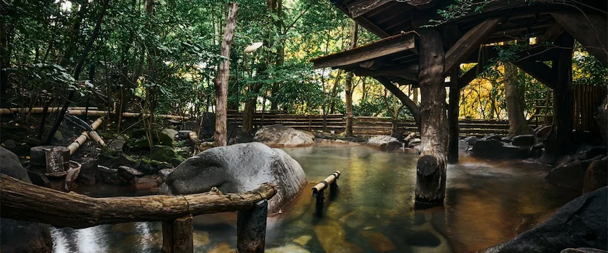 森林中的溫泉池,周圍有綠樹和岩石。木質廊架遮掩池邊,水面泛著微光,營造寧靜自然的氛圍