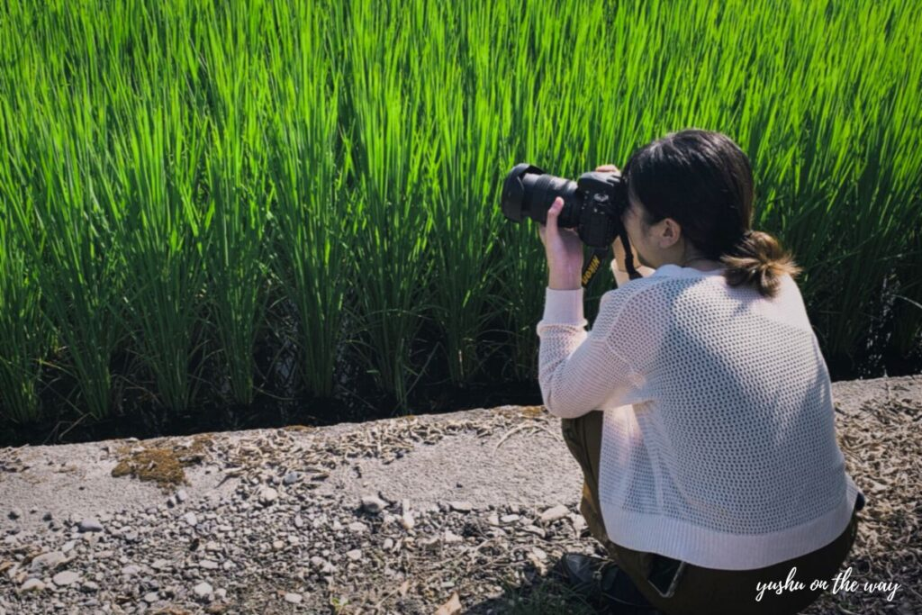 【花蓮深度旅遊 】鳳林小鎮半日行程推薦 菸樓文化聚落、老樹舍咖啡、美好花生