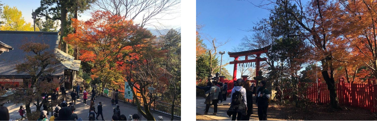 楓葉與人潮和鳥居