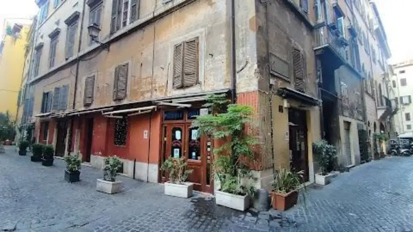 老舊歐式街角建築,褪色外牆和百葉窗,紅色底層店面前擺著多盆綠植,空蕩的鵝卵石小巷顯得安靜寧靜