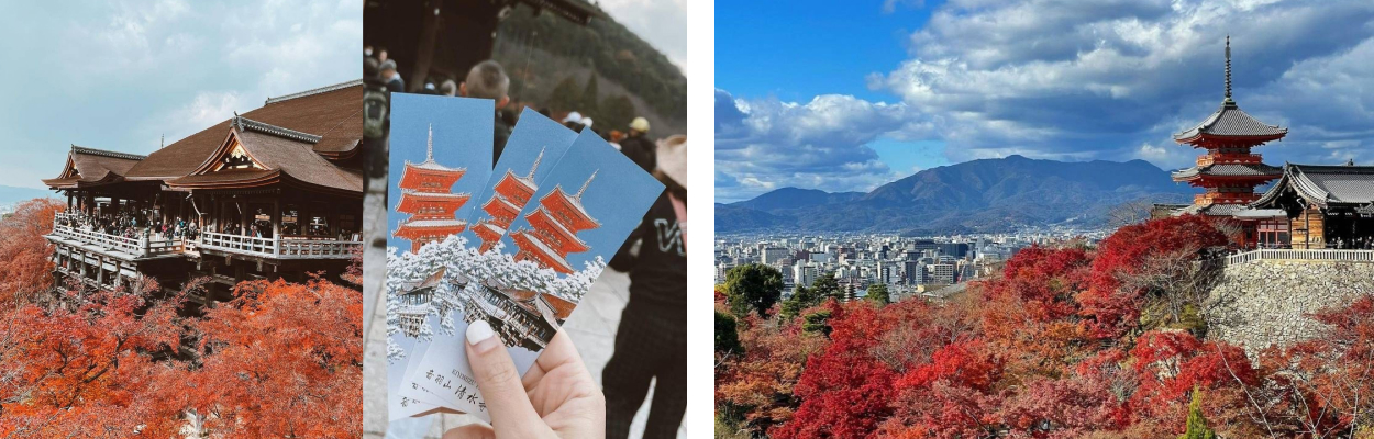 京都清水寺與楓葉