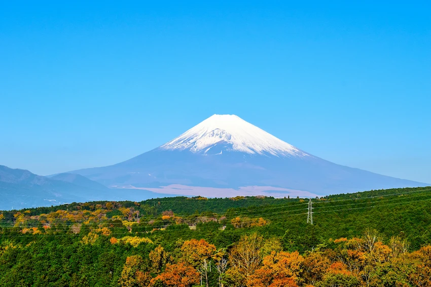 富士山覆蓋白雪,背景是藍天。前景是秋色的樹木,綠黃相間,電纜塔隱現,畫面寧靜美麗