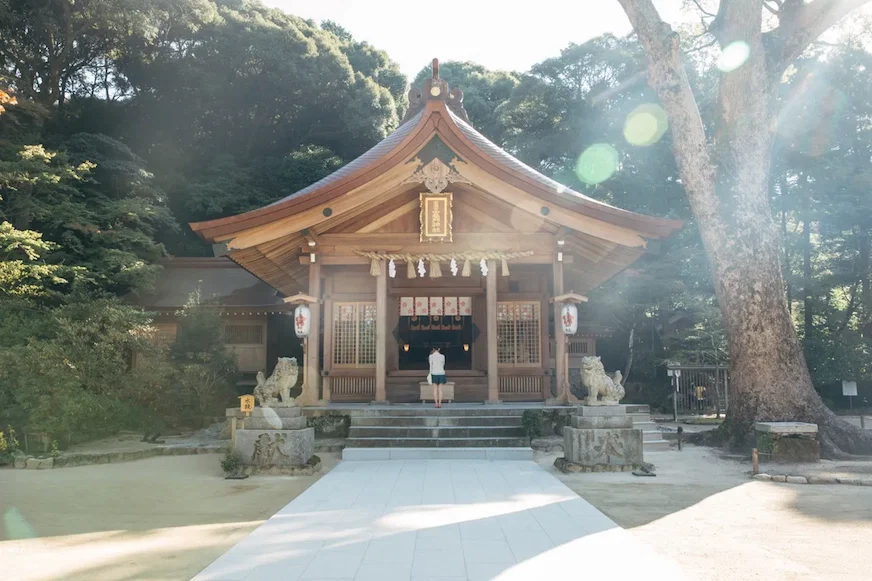 一位遊客站在木製神社前,陽光穿過樹林灑下光暈。神社裝飾傳統,外觀莊重寧靜,周圍綠樹成蔭