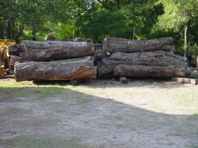 Mesquite, logs2055.jpg