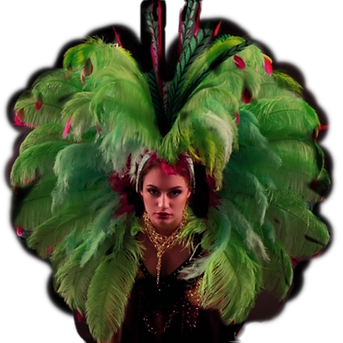 AMAZONE FAIRY TAILS_edited.png