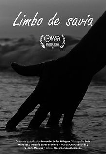 463c2ac193-poster.jpg
