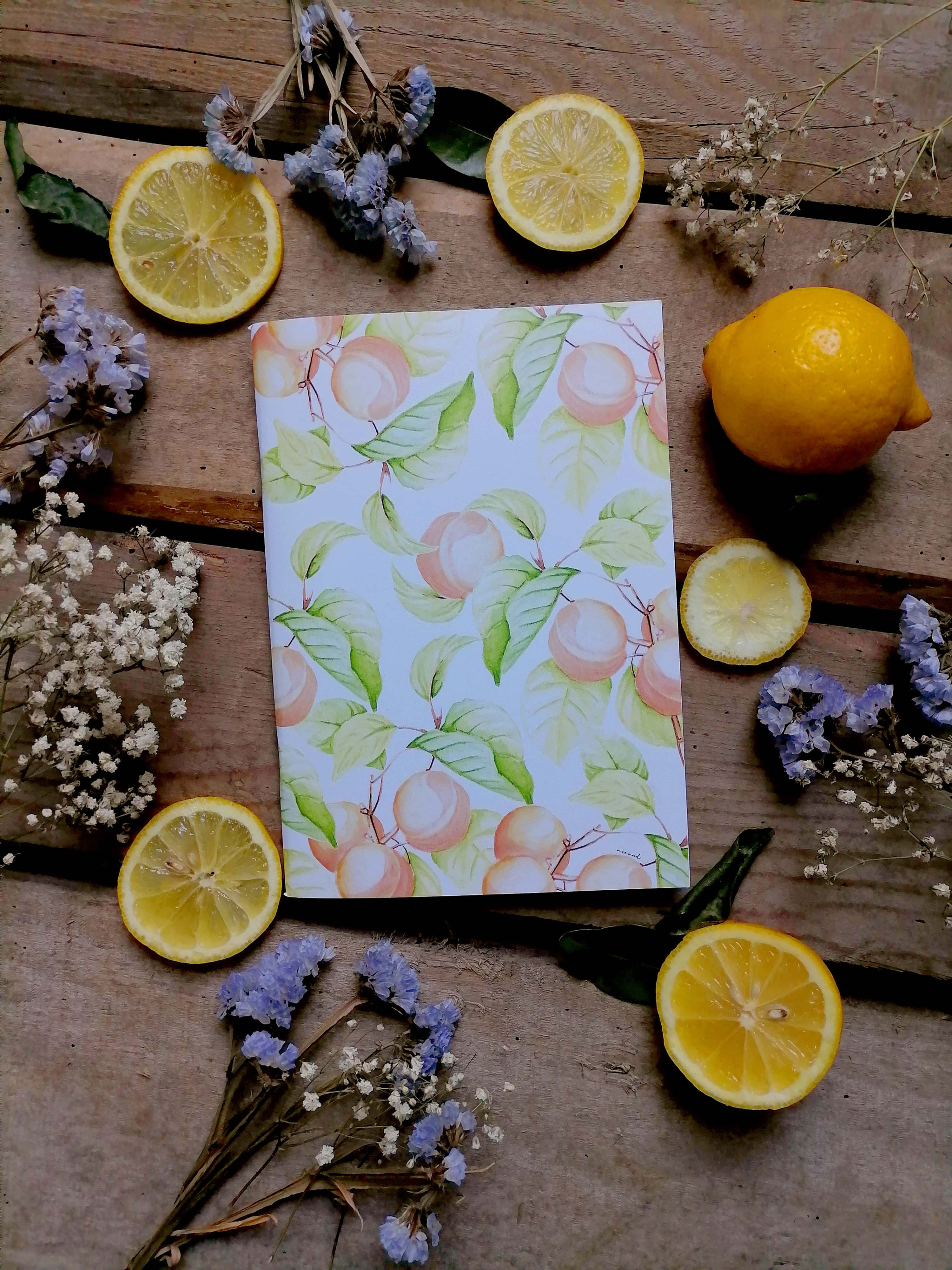Carnet de notes "Abricot"