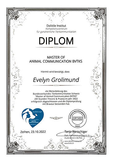 Avelina-Tierkommunikation-2-Diplom.jpg