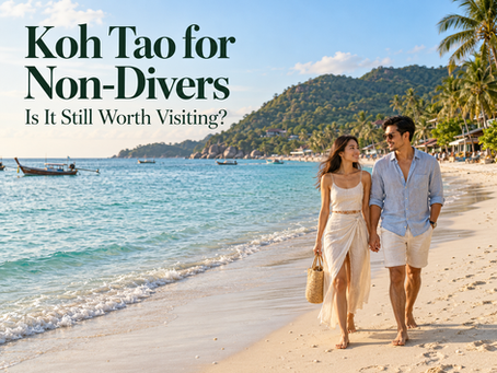 Koh Tao for Non-Divers: Is It Still Worth Visiting?