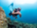 Scuba Diver underwater in Koh Tao Thailand, fish, and coral