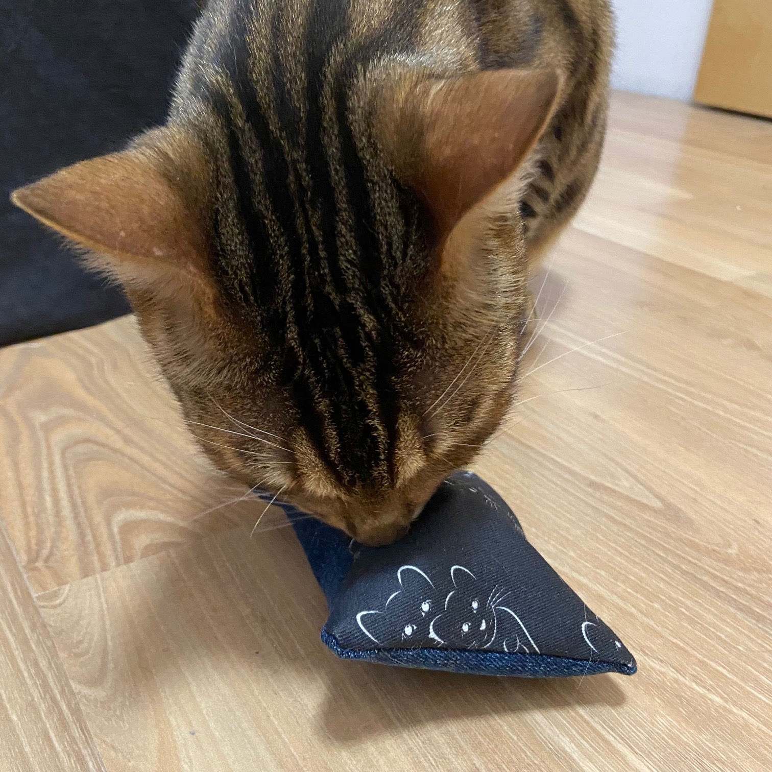 EW-Katzenminzepolsterl