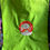 Thumbnail: Rory rabbit shopper