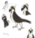 osprey3.jpg