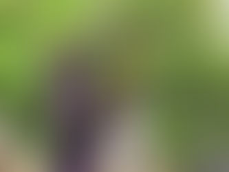 Traslado de la Hermandad del Consuelo al Convento de las Hermanas de la Cruz