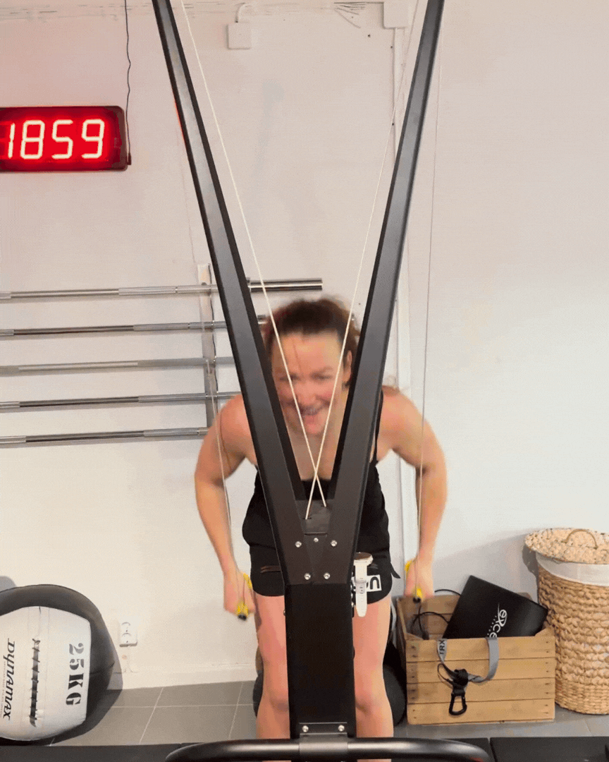 Moas gym.gif
