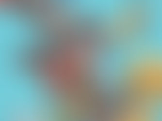 South Carolina and the coronavirus: Are we prepared?