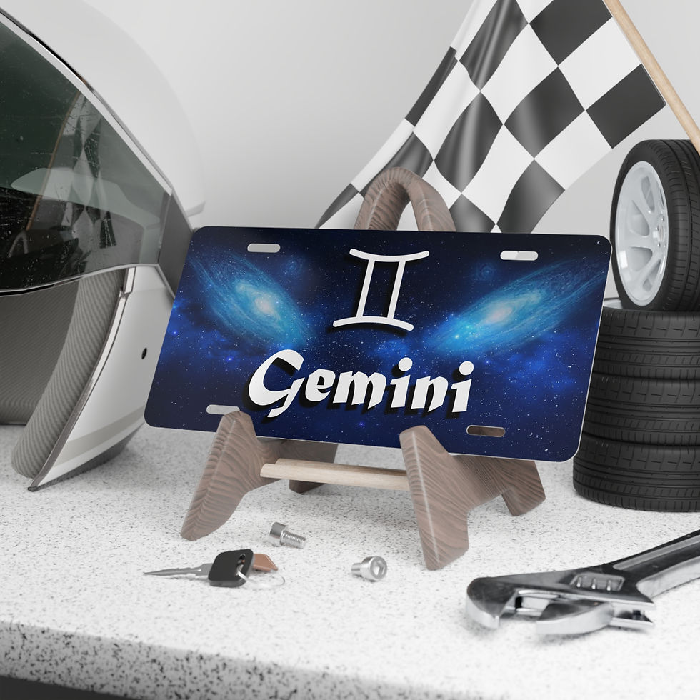 Gemini Custom License Plate On Easle