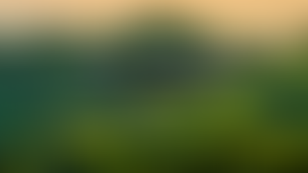 Drones in wildlife conservation: How they aid in protecting endangered species