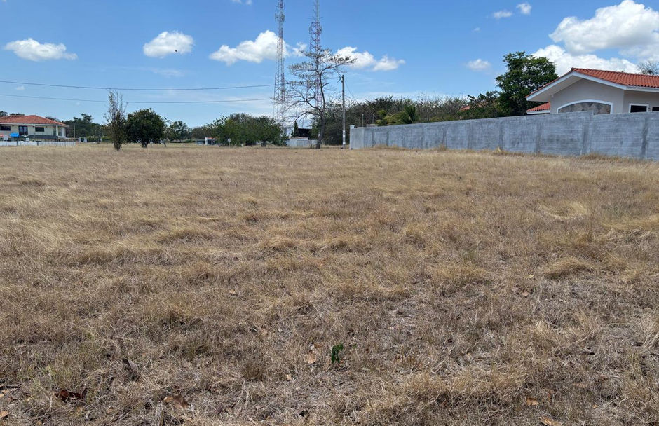 1000 m2 Residential Lot in Palmeras del Este, Coronado, Panama – photo 1 of 8