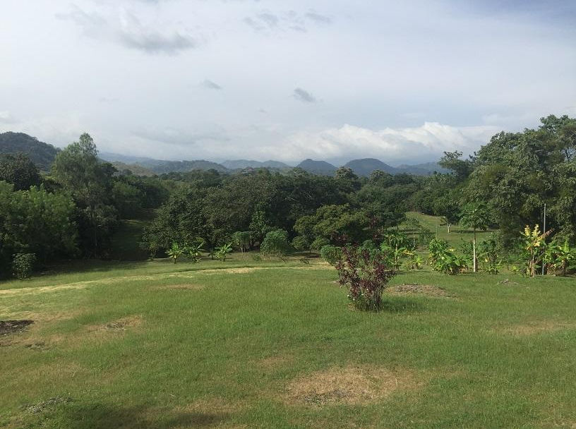 2.7 Hectare Fruit Farm with Two-Storey House, Las Lajas, Chame, Panama – photo 2 of 16