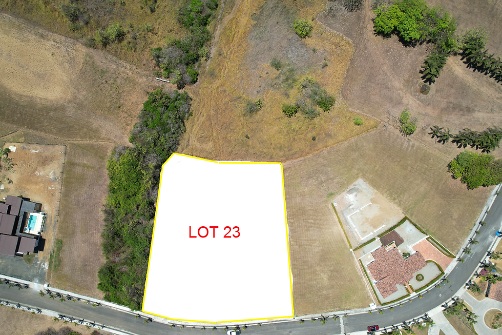 Lot outline 23.png