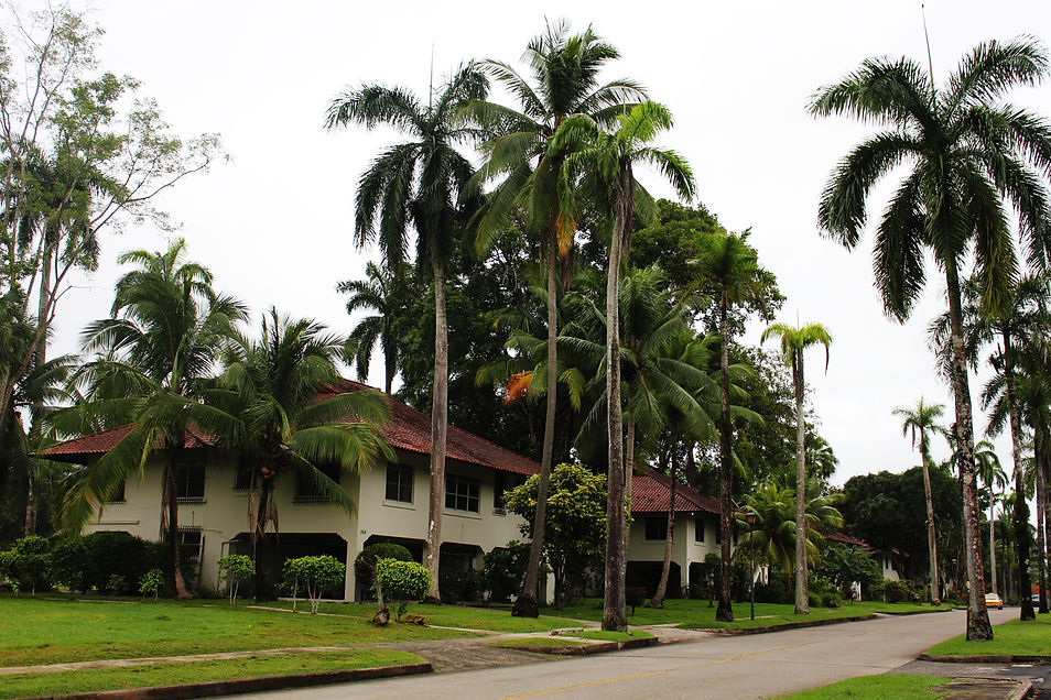 Former officers’ residences among palm trees at Fort Clayton, Ciudad del Saber, Panama City