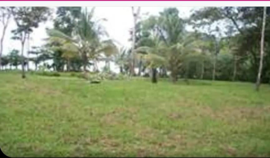 Beachfront 82-Hectare Estate, Isla Colón, Bocas del Toro, Panama – photo 5 of 6