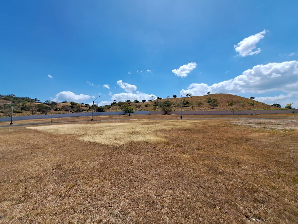 1191 m2 Corner Building Lot in PH Colonia El Celaje CHAME 3199