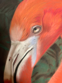 Flamingo.jpeg