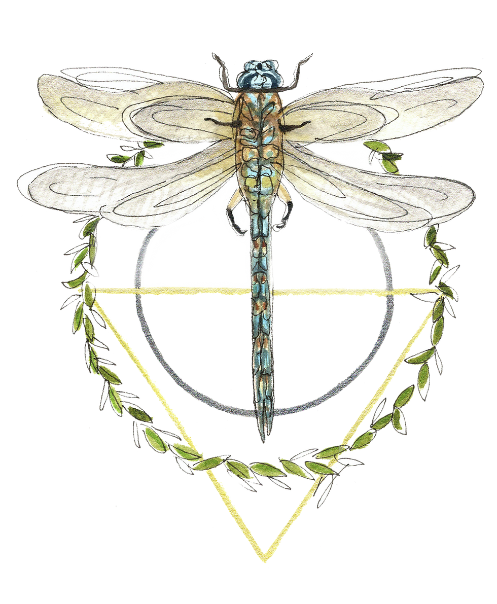 Thumbnail: Blue Geometric Dragonfly Original Watercolor