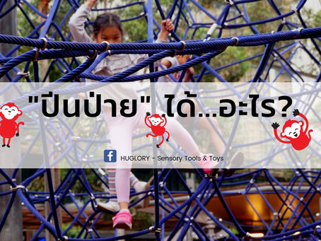 เล่นปีนป่าย ได้อะไร?