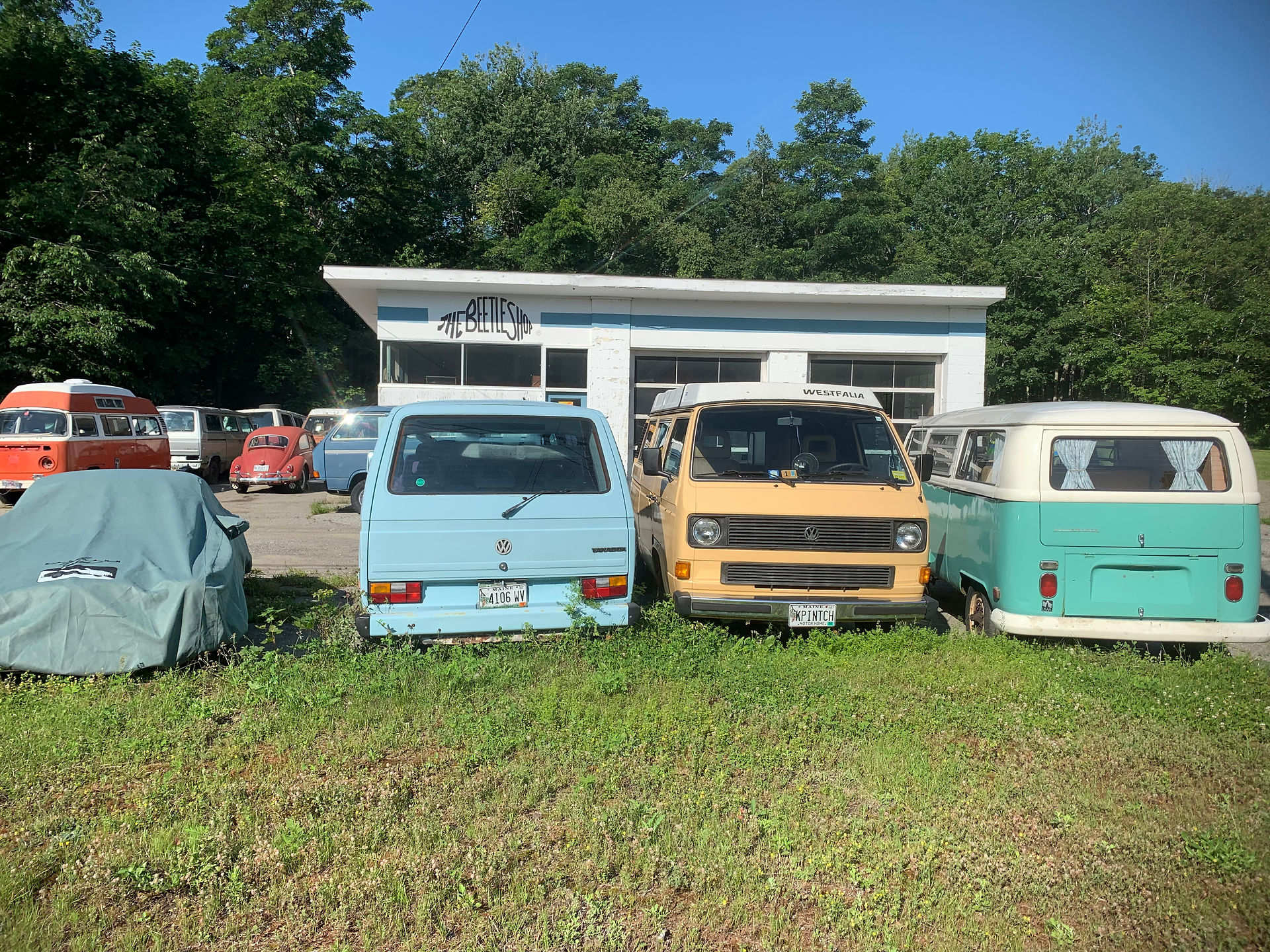 If you like Beetle Vans...