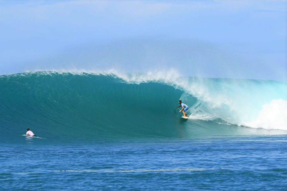 Surf Guide - Dicko
